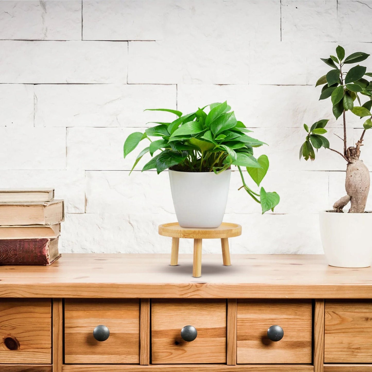 Petit tabouret pour plante | UT.